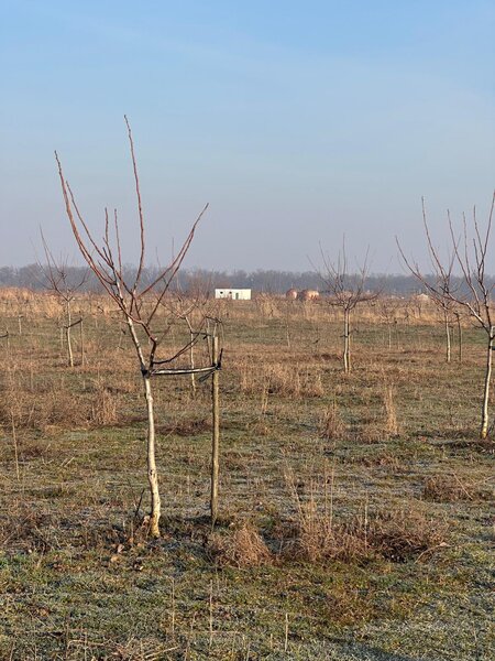 Bucesti, Ivesti, judetul Galati, Romania