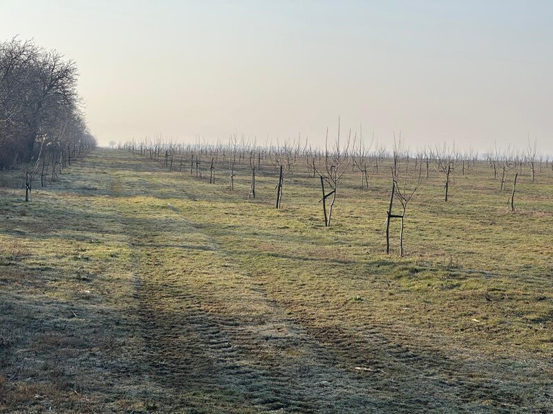 Bucesti, Ivesti, judetul Galati, Romania